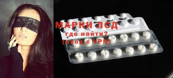 гашик Майский