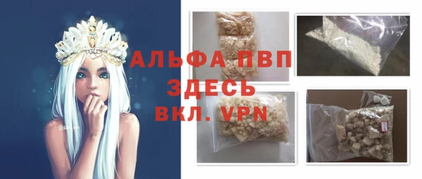 гашик Майский