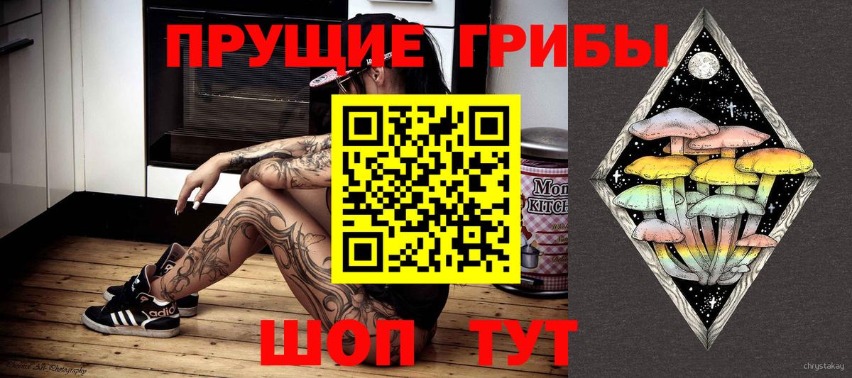 где продают   Псилоцибиновые грибы прущие грибы  Сафоново  Псилоцибиновые грибы Psilocybine cubensis 