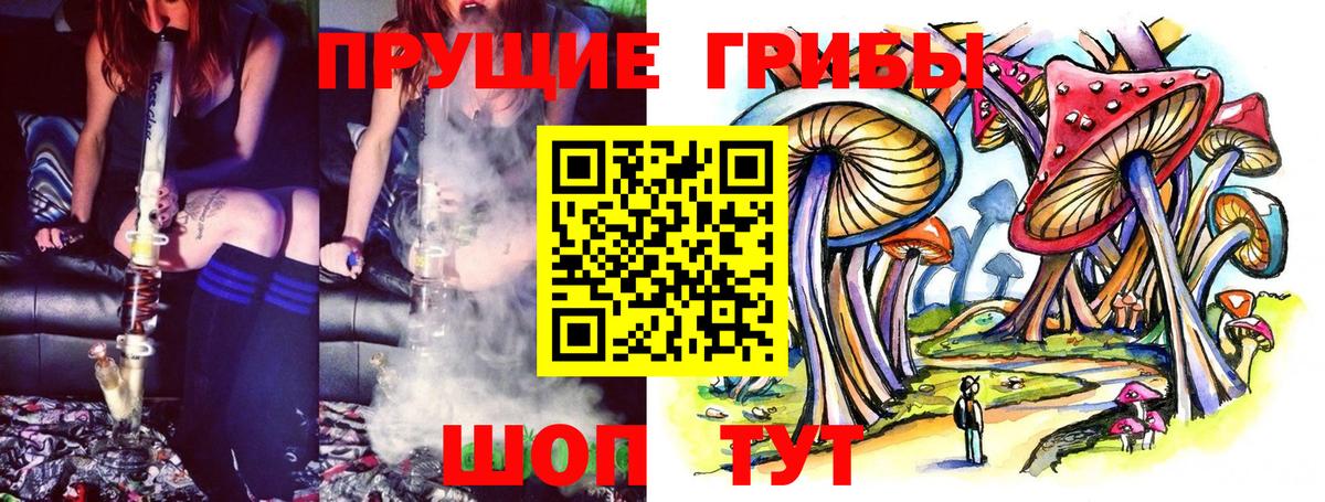 Сафоново  Псилоцибиновые грибы прущие грибы  Вход с VPN 