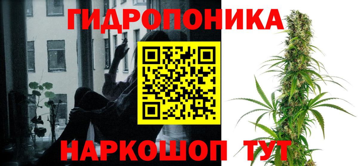 Конопля конопля  Канабис конопля  Сафоново 